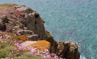 Trevelgue Head and Whipsiderry image