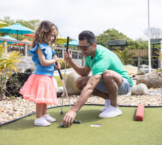 Crazy golf image
