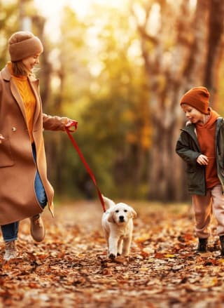 Autumn Breaks