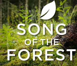 Song of the Forest