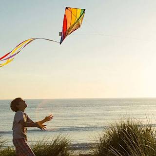 An image of a young boy and his father playing with a kite by the beach on a sunset evening. image