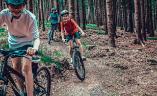 Bring some mountain bikes image