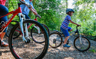 A family out cycling together through the woods. image