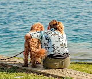 Dog friendly days out near Away Resorts