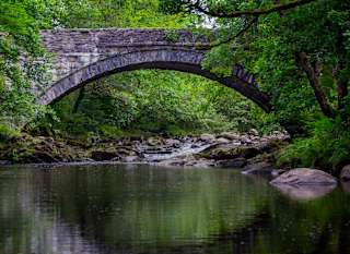 An image at Coed Y Brenin of a bridge with a stream running underneath. image