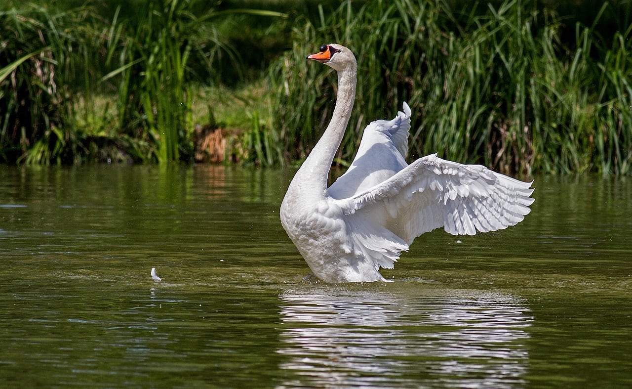 Gormire Lake image