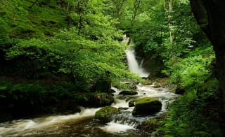 Dolgoch Falls image
