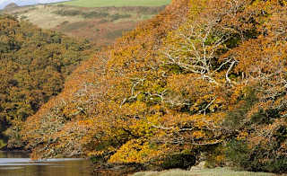 Crantock and The Gannel image