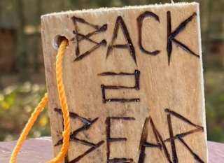 Back 2 Bear image