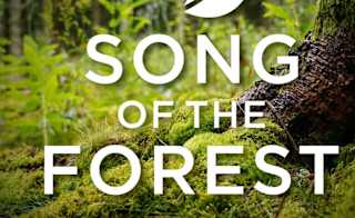 Song of the Forest image