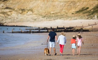 Abbotsbury Beach – Chesil Bank image