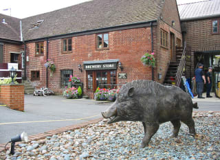 Ringwood image