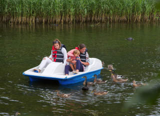 A family enjoying a ride on the pedalos at one of our holiday parks. There are ducks swimming in the lake. image