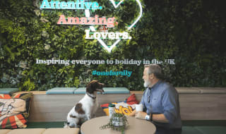 Welcoming Furry Friends to the Ultimate Staycation Experience! image