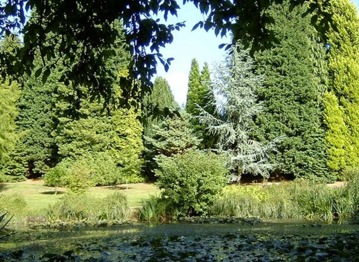 Furzey Gardens image