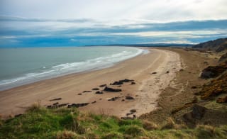 10. St Cyrus Beach and Cliffs Circular image
