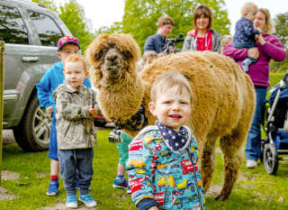 Alpaca Keeper image
