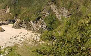 Lantic Bay image