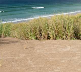 Beach trips image