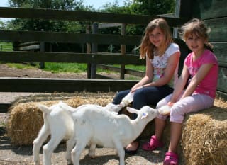 Longdown Activity Farm image