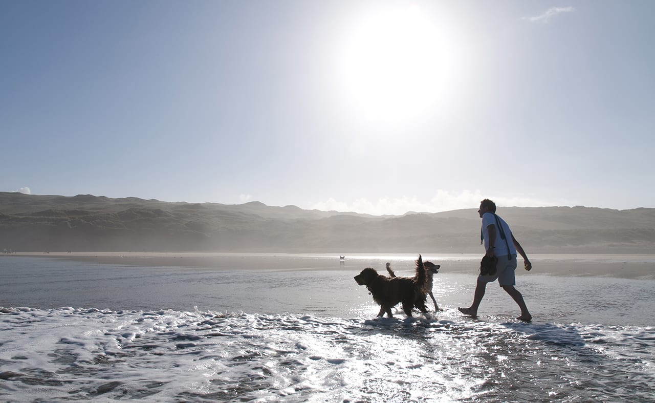 Weymouth Beach image