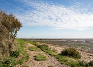 Cudmore Grove Country Park image