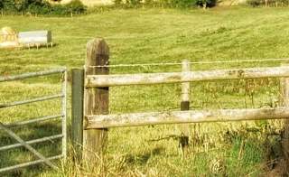 Nocton Wood Walk image
