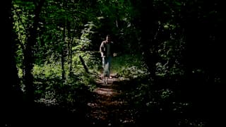 Nature Walks around Louth image