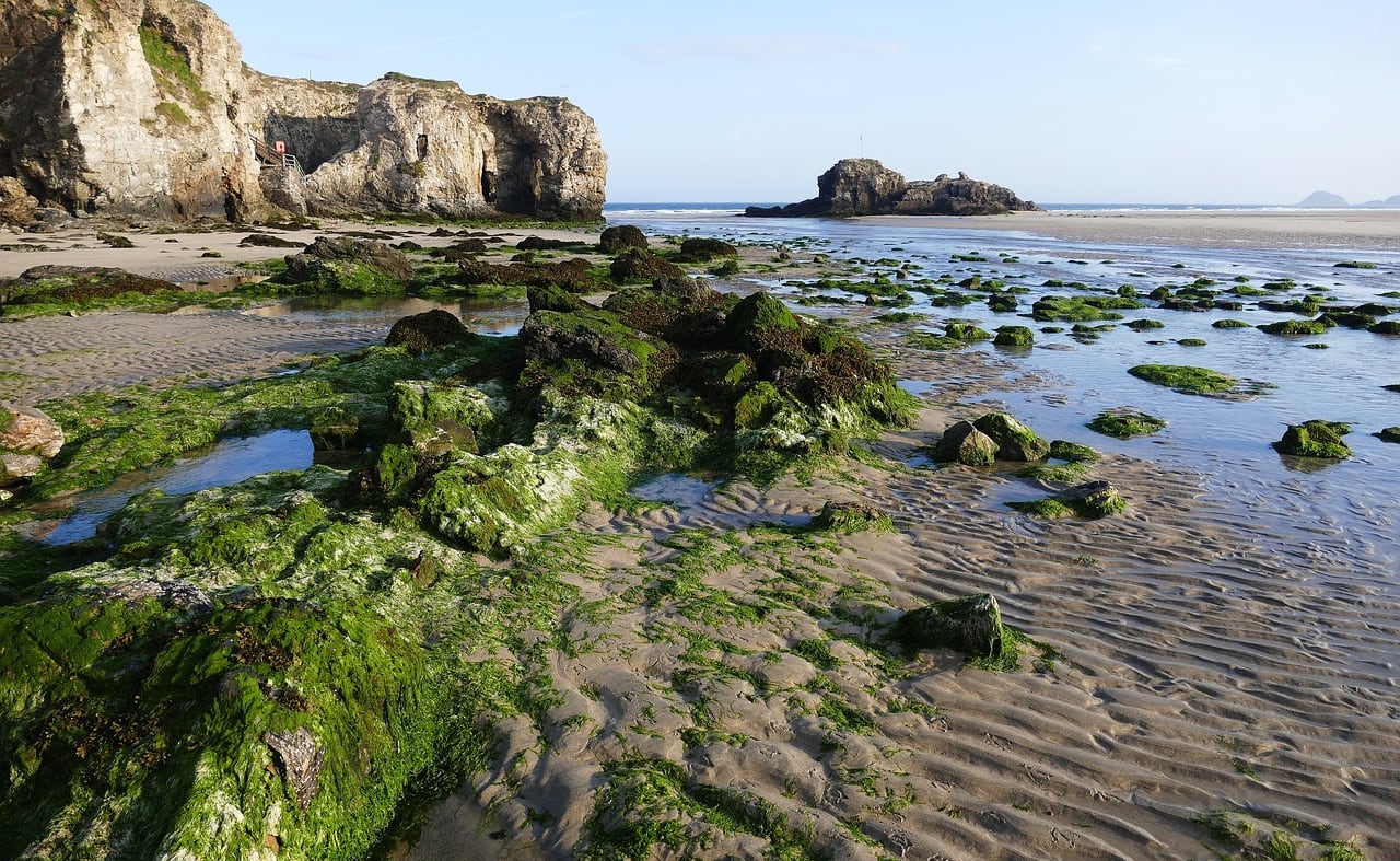 Perranporth tidal pool image
