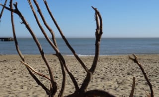 Sandown Beach, Sandown image
