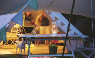 A sun set evening with a Jack Russell dog standing at the entrance of a off-white canvas bell tent. There is also a blue and white picnic table next to the dog. image