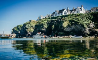 Port Isaac Boat Tours, Port Isaac image