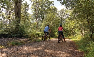 Burley Hill Fort route image