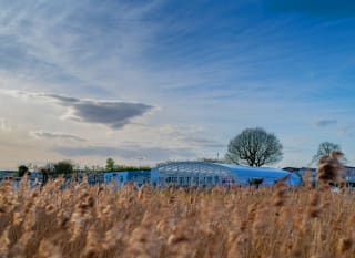 A view of the indoor pool through some long grass. image