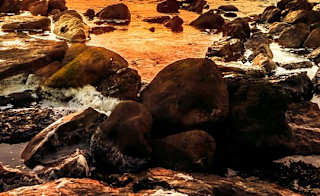 Filey Brigg Walk image