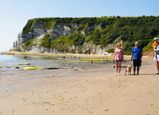 Secluded sandy beach image