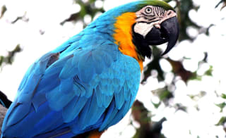 Paradise Park image