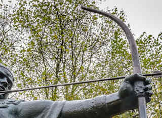 Sherwood forest image