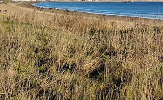 Cayton Bay image
