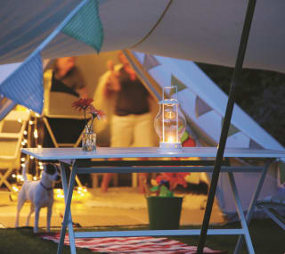 A sun set evening with a Jack Russell dog standing at the entrance of a off-white canvas bell tent. There is also a blue and white picnic table next to the dog. image