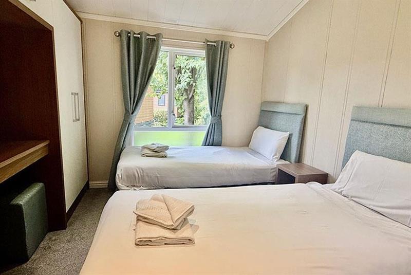 New Forest Grove image