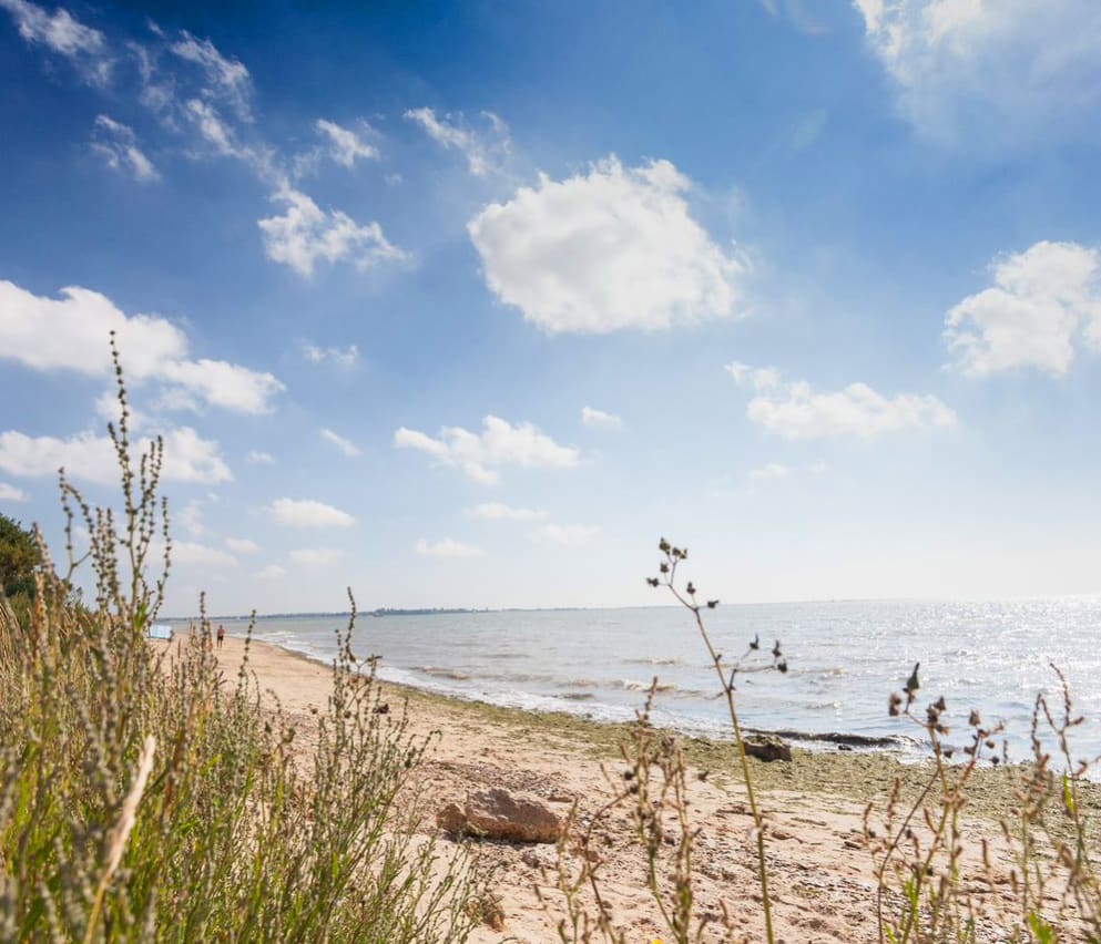 A view of the beach through some long grass at Mersea Island, Essex.