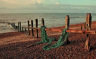 Browndown Point Beach image