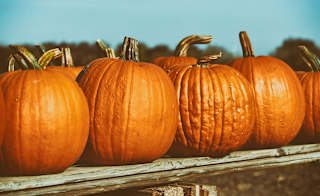 Trevaskis Farm image