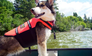 Canoeing image
