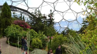 Eden Project