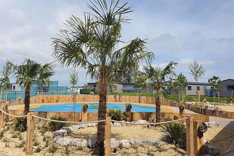 Beachcomber image