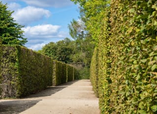The Wragby Maze image