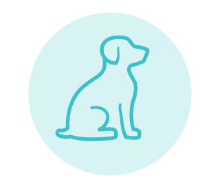 Paws welcome! Bring your furry friends