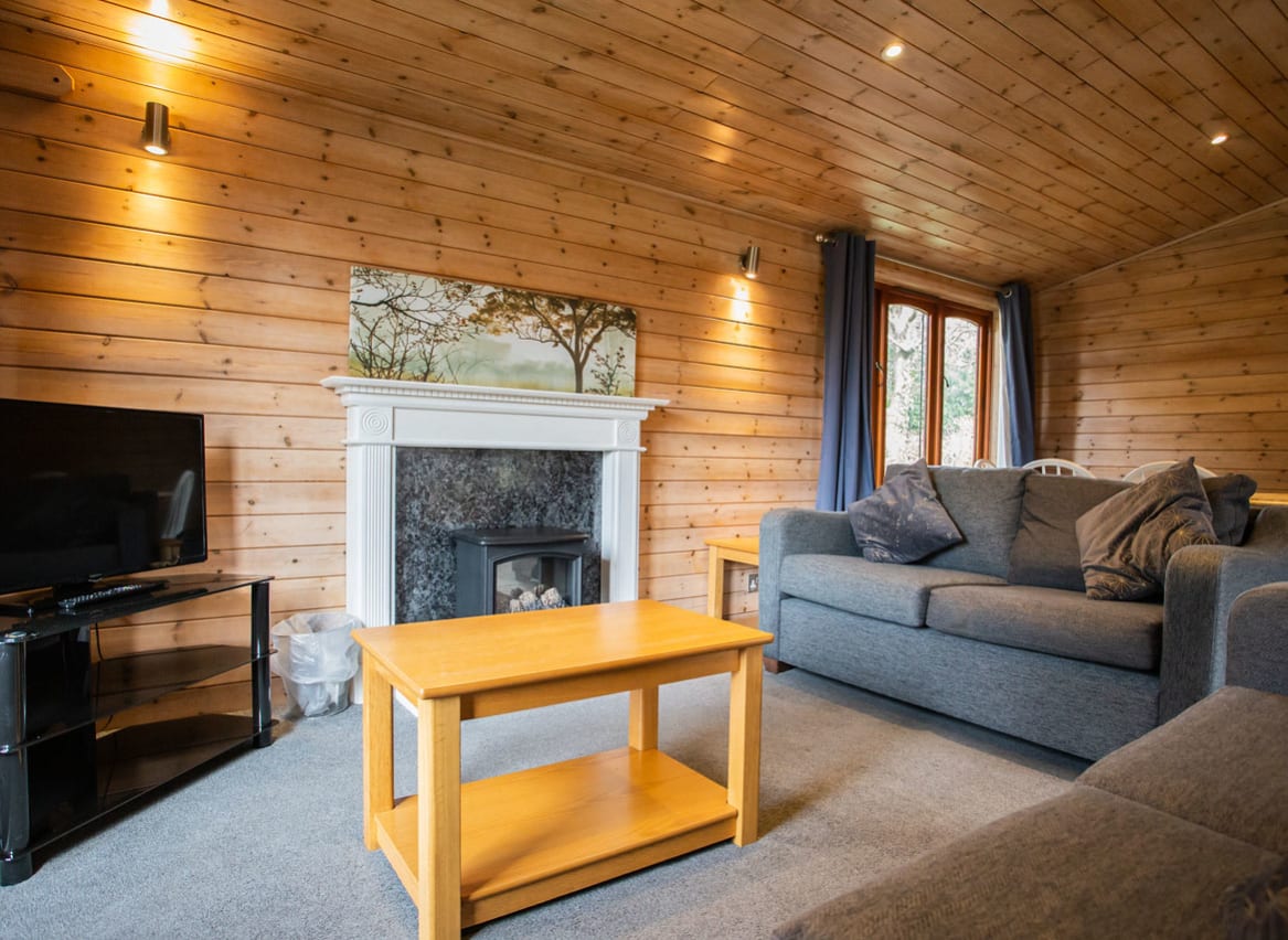 The interior of one of our woodland style holiday lodges. There's two grey sofas, a TV,  and wooden panel walls. image